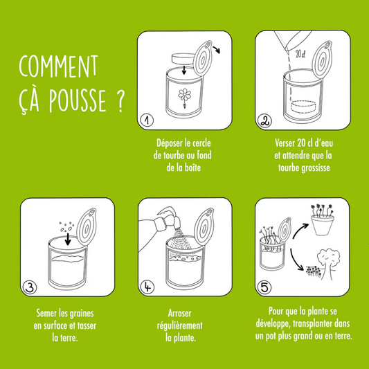 Kit à semer – « Graines de chance » - L'essentiel