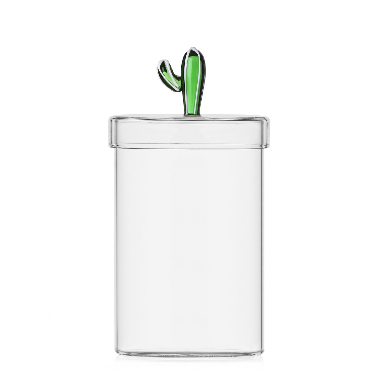 Boite / Bocal cactus (3 modèles)