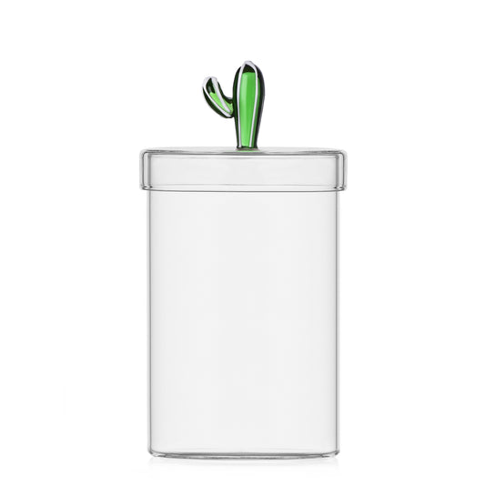 Boite / Bocal cactus (3 modèles)