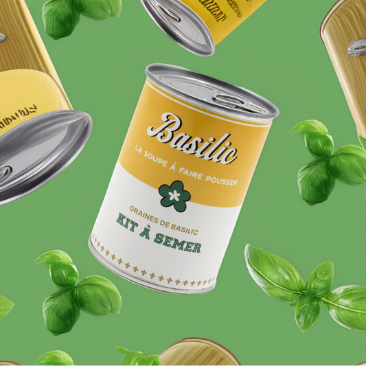 Kit à semer – Basilic - L'essentiel